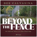 Beyond the Fence - Front Cover