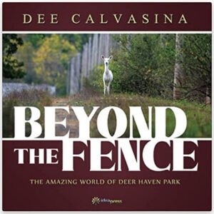 Beyond the Fence - Front Cover